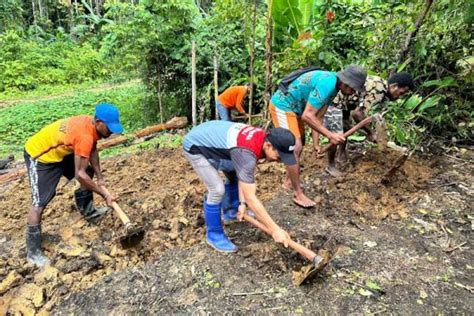 Respon Perubahan Iklim Kilang Kasim Dorong Ketahanan Pangan Melalui