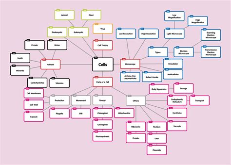 Concept Map For Cells