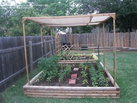 vegetable garden shade structures - Mendy Fortner