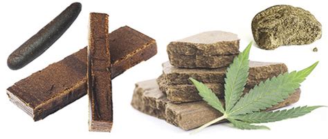 Types of Hash list - Comparing Different Types of Hashish