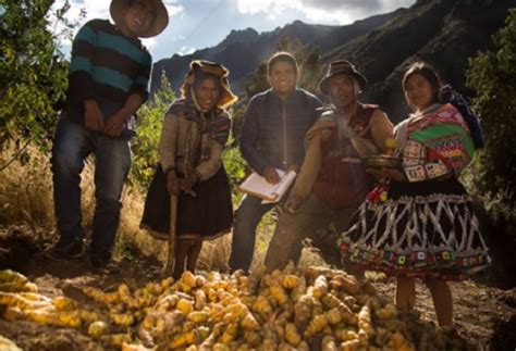 Seguridad alimentaria conoce cómo una comunidad cusqueña conserva la