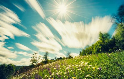 Wallpaper Greens Summer The Sky Grass The Sun Clouds Rays Light