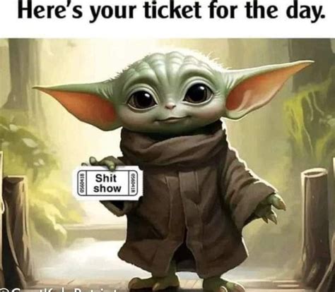 Pin By Dana Coburn On Funnies Grumpy Cat Humor Yoda Funny Cute Good