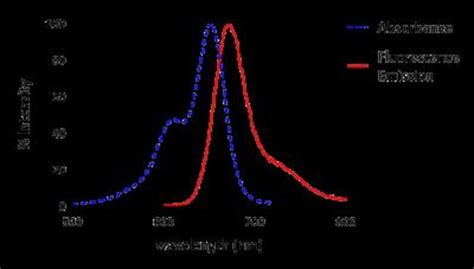 Novus Biologicals Lightning Link R Rapid Alexa Fluor 647 Antibody