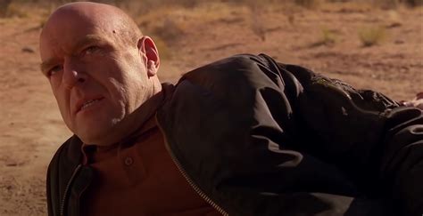 Hank Schrader Death: How Did He Die? Who Killed Him? Why?