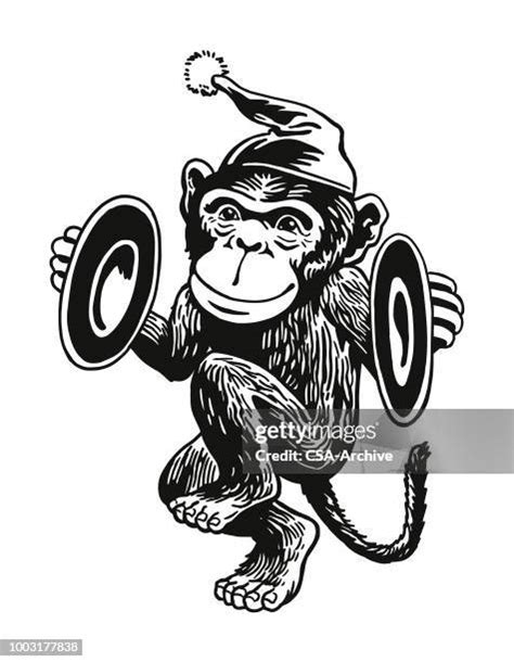 Monkey Cymbals Photos And Premium High Res Pictures Getty Images