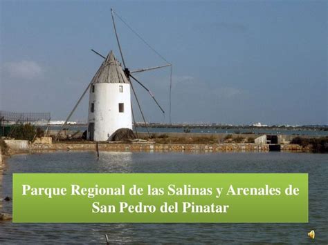 Ruta Parque Regional De Las Salinas Y Arenales De San Pedro