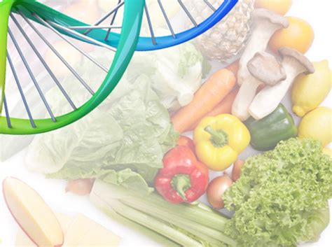 What Is Nutrigenomics The Science Of How Food Affects Genes Explained