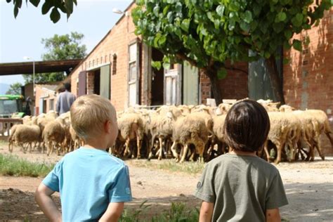 Consorci De Les Gavarres Protegir I Gestionar Lespai Dinter S