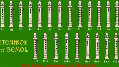 Notas Avanzadas Para Flauta Dulce Todas Las Notas Musicales Erofound