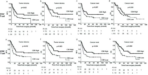 Kaplan Meier Estimates Of Either Relapse Free Survival Rfs Or Overall