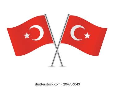 Turkey Flags Vector Illustration Stock Vector (Royalty Free) 204786043