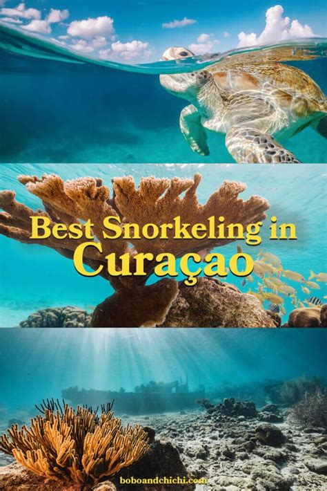 10 Best Curacao Snorkeling Beaches & Spots in 2024 | Curacao beaches ...