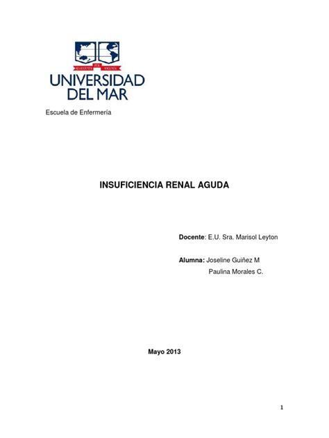 PDF Trabajo Insuficiencia Renal Aguda DOKUMEN TIPS