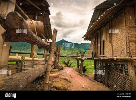 Vietnam Mountain Range Of Hoang Lien Son Roosters Between Two Houses