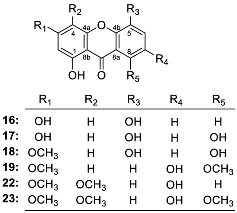 The structures of xanthones 16-19, 22 and 23. | Download Scientific Diagram