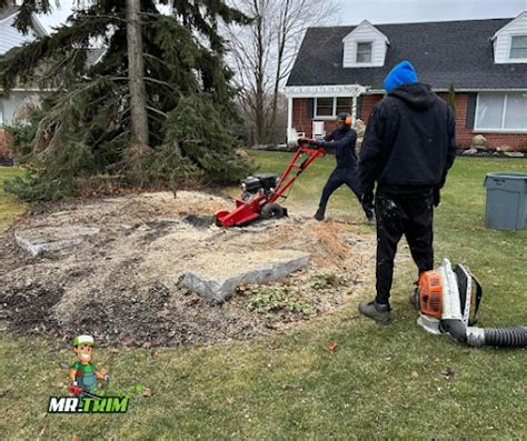 Hedge & Shrub Pruning | Mr.Trim Pruning and Landscaping Services