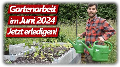 Gartenarbeit Juni Regen ohne Ende Gemüsegarten mit Hochbeeten