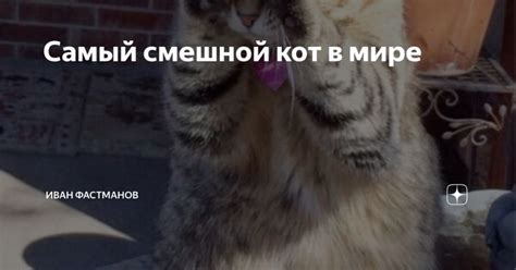 Самый смешной кот в мире | Смешно, Смешной кот, Кот