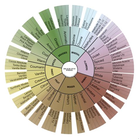 Anatomy Of A Perfume And Scent Families Ascentaday Sweet Fragrances