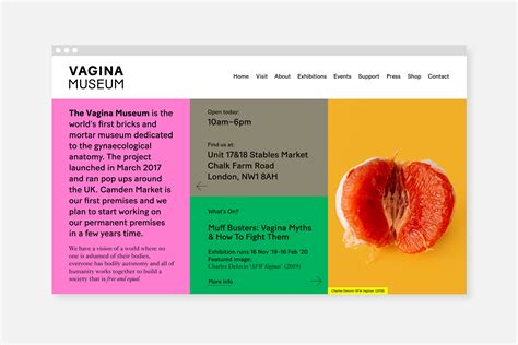 Vagina Museum Behance