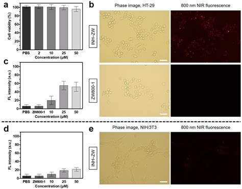 A Cell Viability Assay Of The Inhzw Conjugate Using Ht 29 Cancer