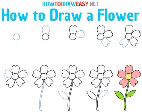 How To Draw A Flower Step By Step Flower FlowerDrawing