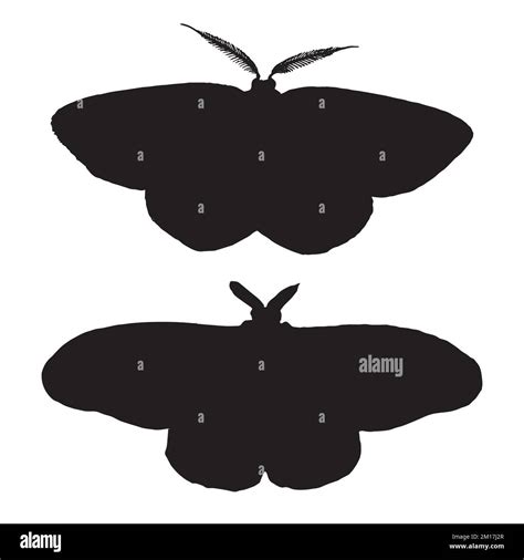 Moth Art Silhouette Stock Vector Image And Art Alamy