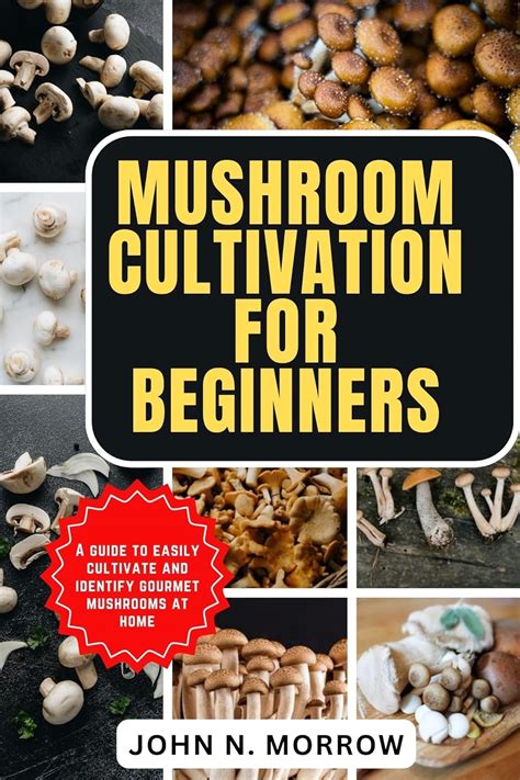 Mushroom Cultivation For Beginners A Guide To Easily Cultivate And