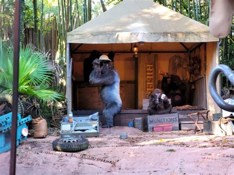 Jungle Cruise Overview Disney S Magic Kingdom Attractions Dvc Shop