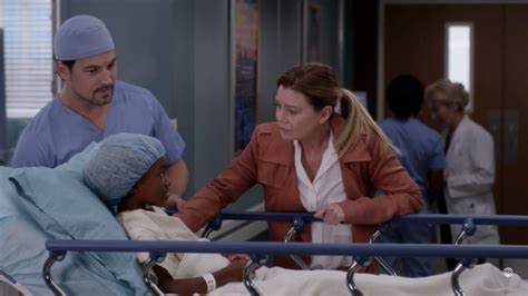 Zola Grey S Anatomy Zola On Tumblr Zola Grey Shepherd Es La Hija Adoptiva De Meredith Grey Y