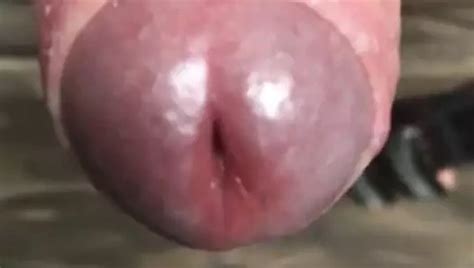 Foreskin Close Up Ending With Cumshot Gay Pov Porn Feat Foreskinguy