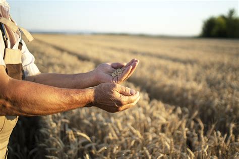 Pour Une Agriculture Et Une Alimentation Durables