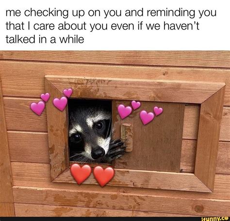 Wholesome meme - me checking up on you and reminding you that I care ...