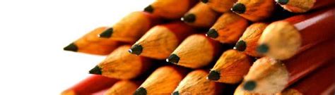 fly flew  flown flied daily writing tips