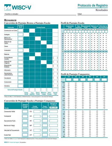 Protocolo De Registro Wisc V Resultados Resumen Conversi N De