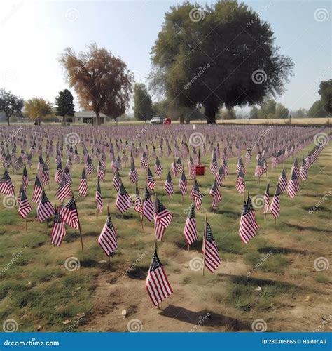 Vivid Wide Shot Of Tiny Us Flags At The Cemetery For Veterans