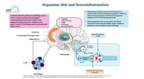 Depression Neurotransmitters