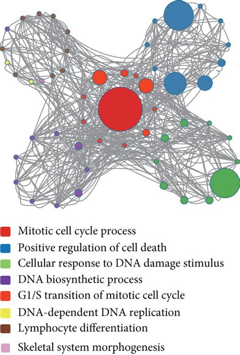 Smf Treatment Upregulates E2f1 Expression In 4t1 Cells A C The Download Scientific Diagram