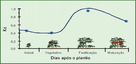 Curva De Coeficiente De Cultura Kc Para Tomateiro Para Processamento