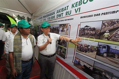 EKOWISATA MANGROVE PERTAMINA ANTARA Foto