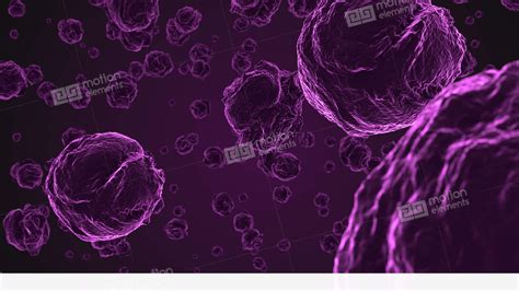 Abstract Purple Virus Cells Under Microscope Video Hintergrund | 11554287