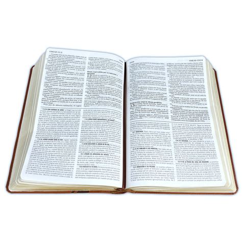 Biblia de Estudio de la Vida Plena para Jóvenes RV60 Imitación Piel