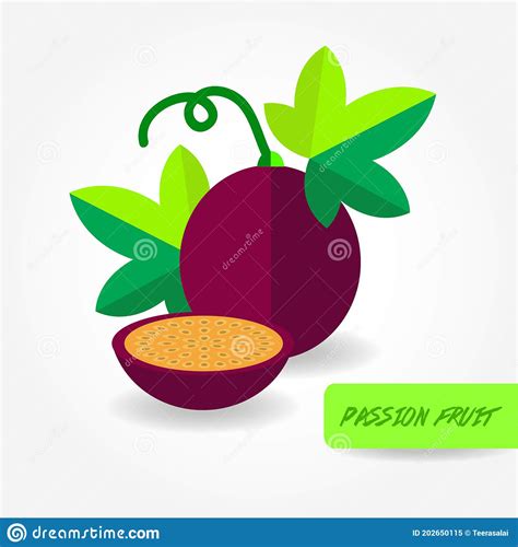 Fresh Passion Fruit Graphic Vector Illustration Stock Vector