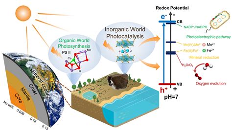 地空学院鲁安怀课题组在pnas发表矿物转化太阳能的新发现