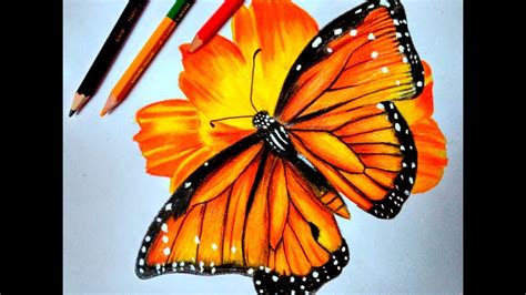 How To Draw A Realistic Butterfly With Colored Pencils Joy In The Box