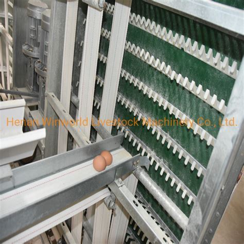 A Type 3 Tier 4 Nest Poultry Farm Galvanized Chicken Layer Cages