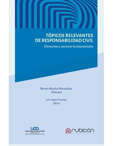 TÓPICOS RELEVANTES DE RESPONSABILIDAD CIVIL ELEMENTOS Y NOCIONES