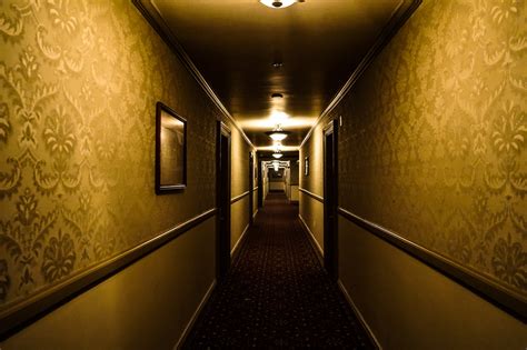 Ghosts of The Stanley Hotel and a Night In Room 217 - Amy's Crypt