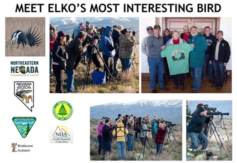 Elko County Sage-grouse Experience — Sacramento Audubon Society